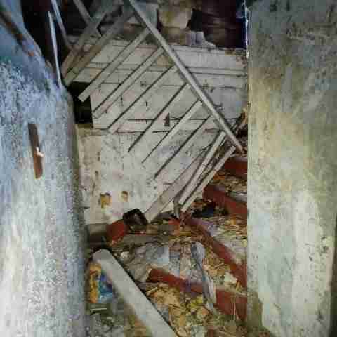 8031 conger (83).jpg